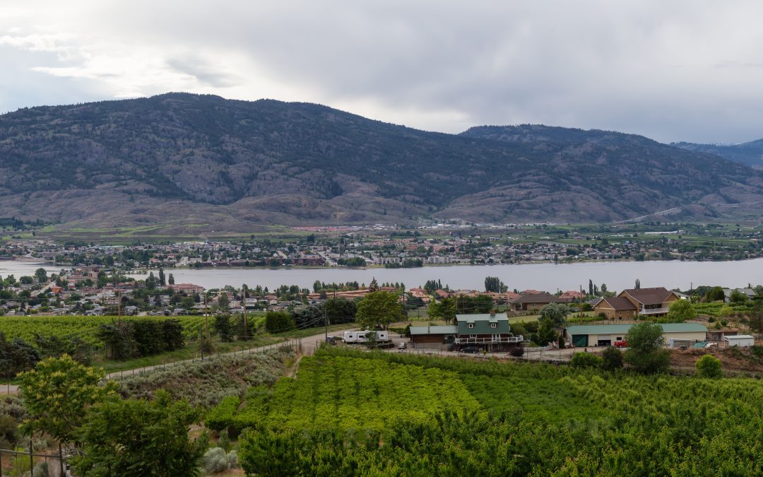 Discovering Local Wineries in the Okanagan: A Guide to the Best Vineyards and Tastings