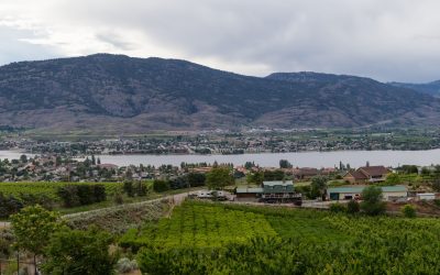 Discovering Local Wineries in the Okanagan: A Guide to the Best Vineyards and Tastings